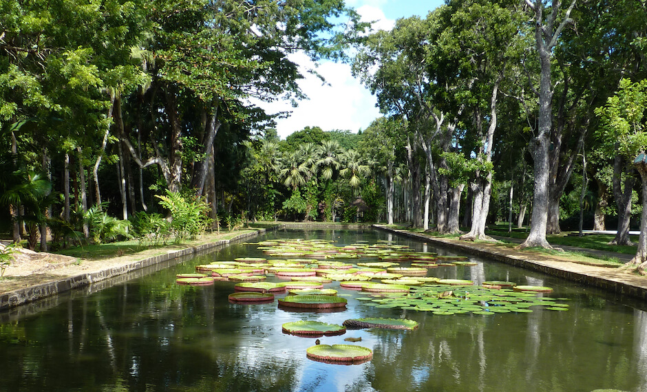 TripAdvisor suggests a visit to Mauritius' botanical gardens