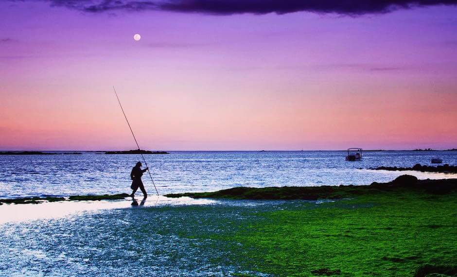 The pink sky creates the perfect backdrop for this scenic fishing scene