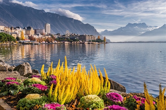 Lake View - Geneva