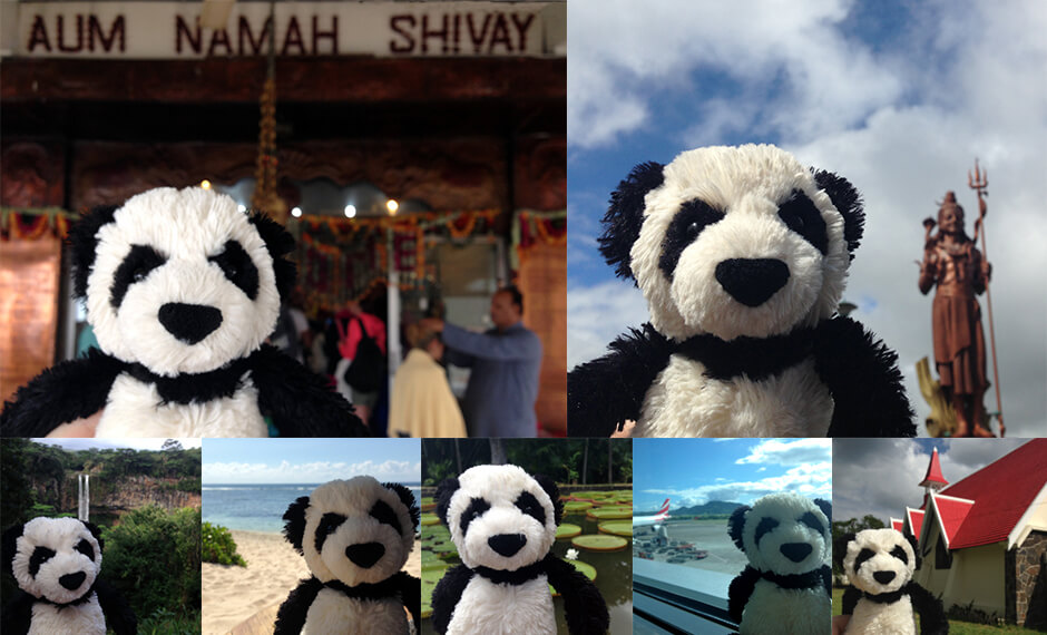 This Panda Travels