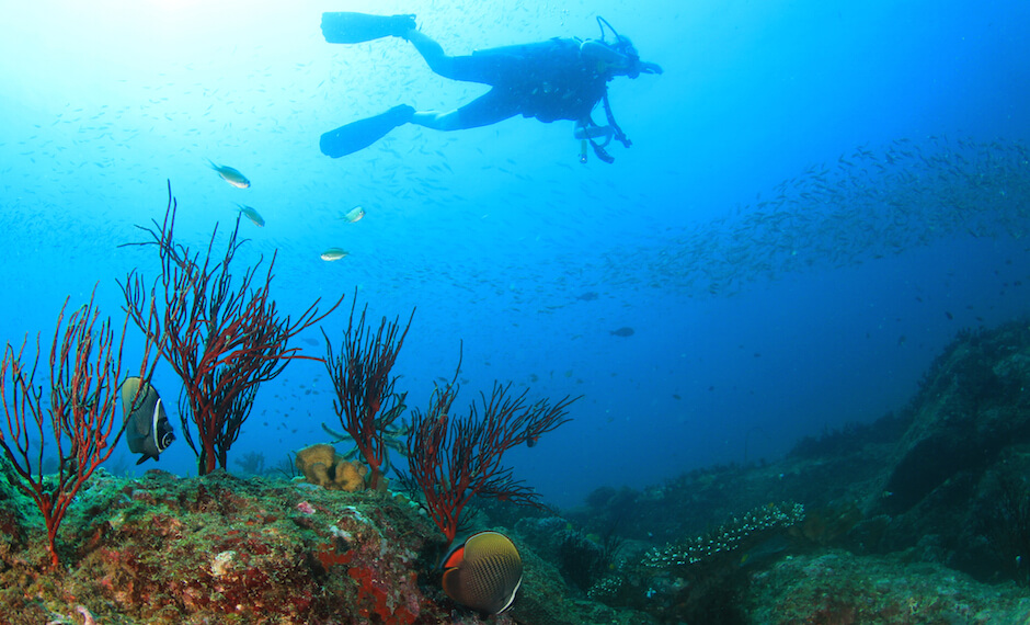 Try Scuba Diving in Mauritius, With Direct Flights from Air Mauritius