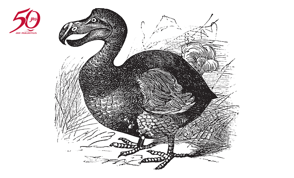 Secret life of the dodo